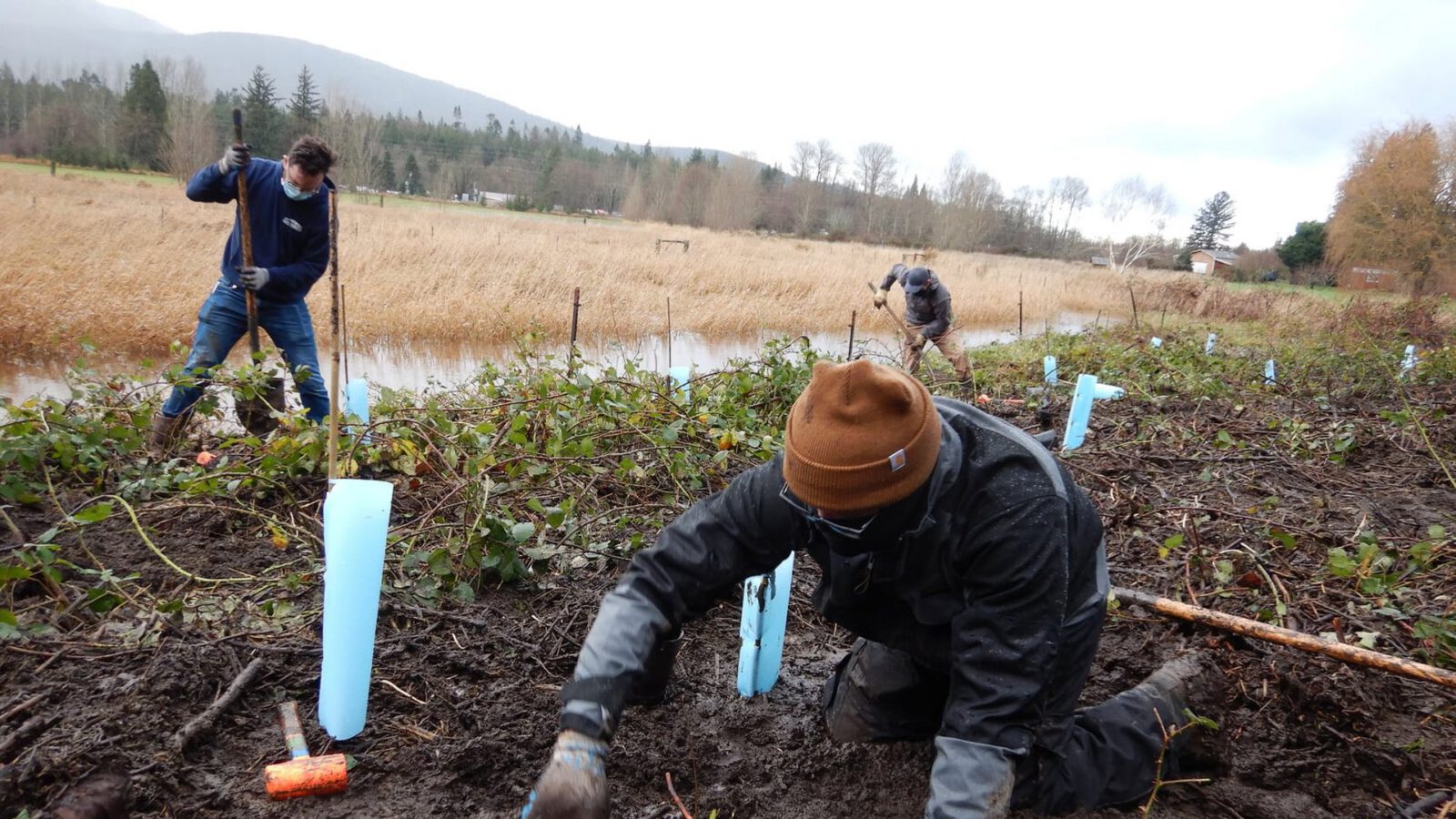 NSEA staff and crew working together in a creek at a restoration site