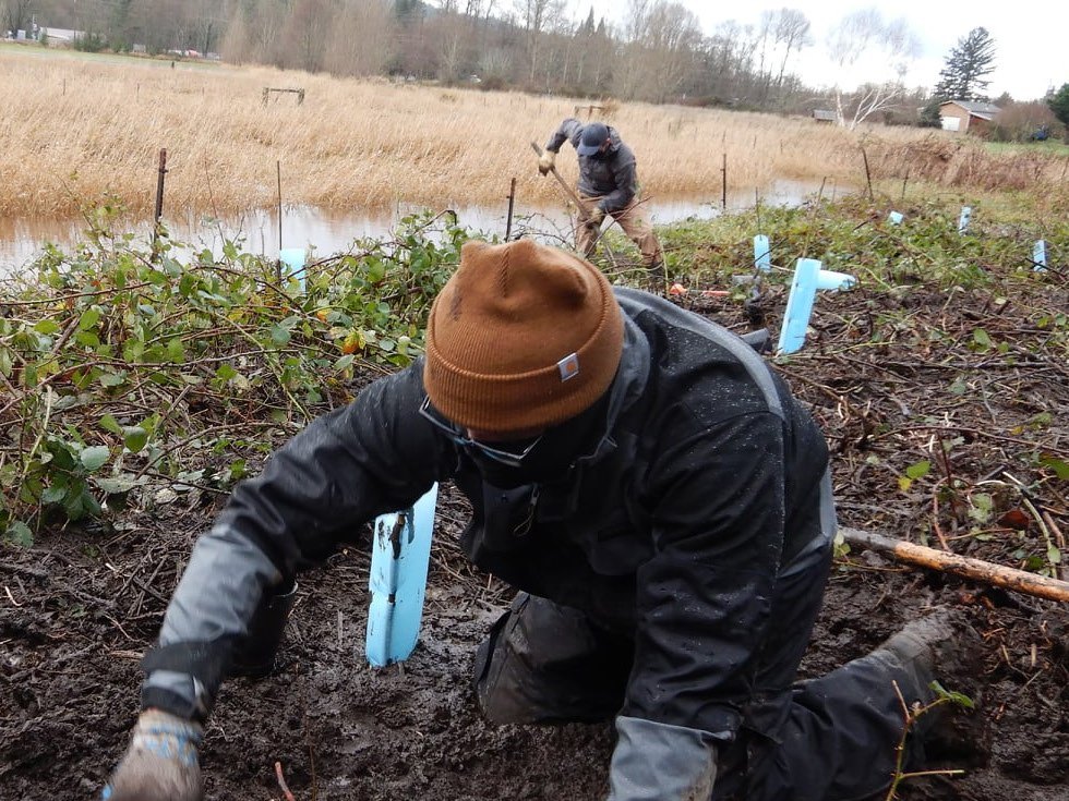 NSEA restoration crew at work on a streambank