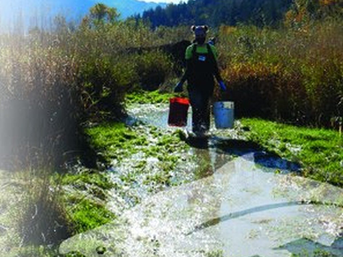 Fourth graders doing hands-on science at a creek