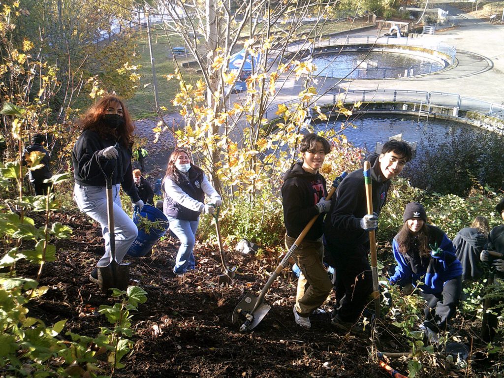 Whatcom Creek work party