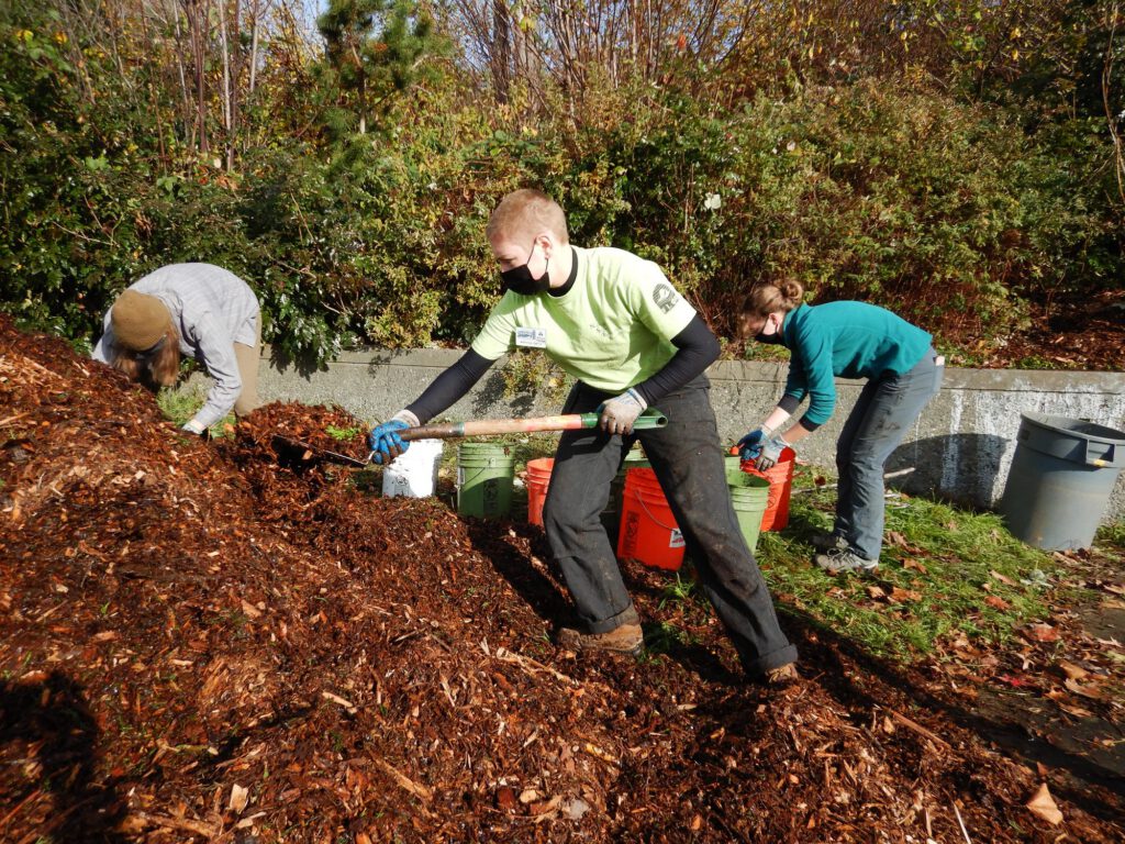 Whatcom Creek work party