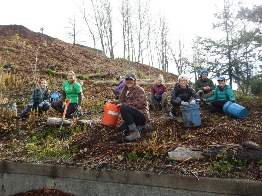 Whatcom Creek work party