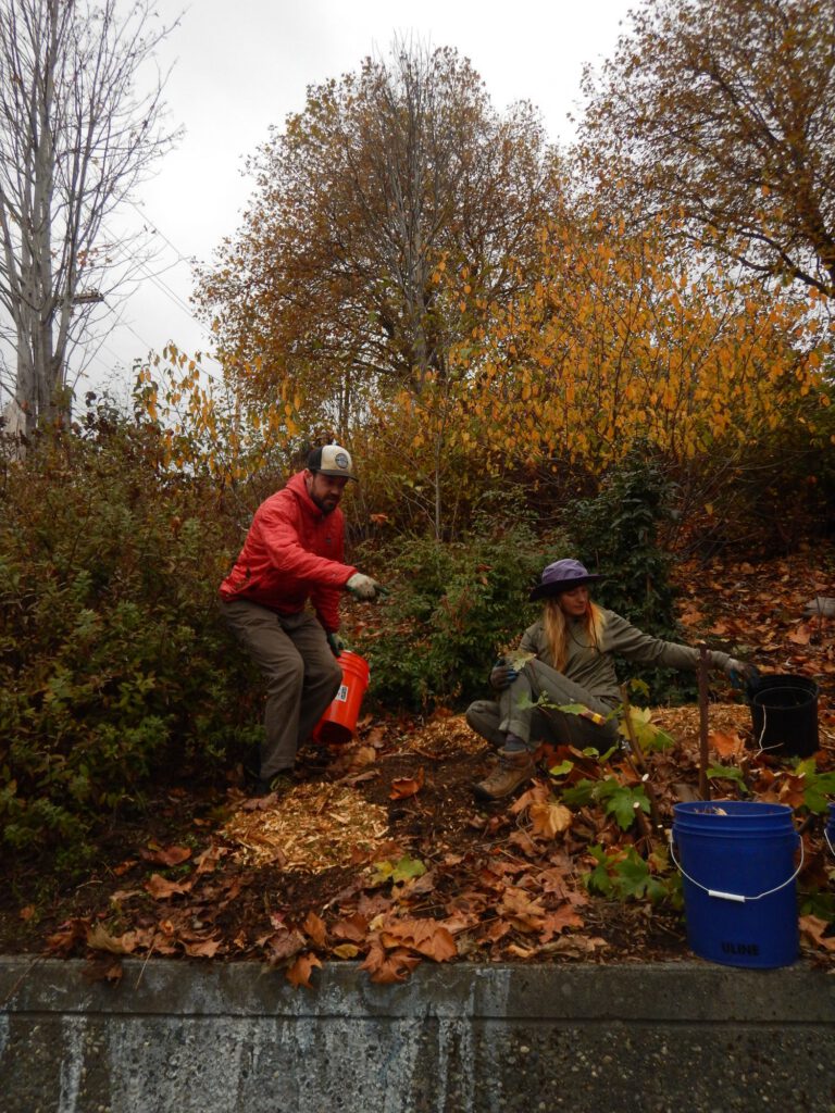 Whatcom Creek work party
